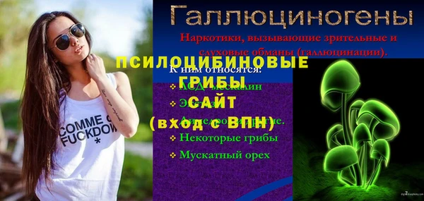 эйфоретик Баксан